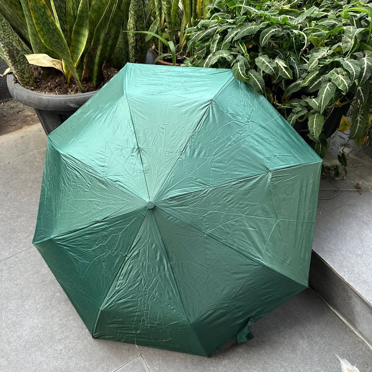 KITCHEN Umbrella