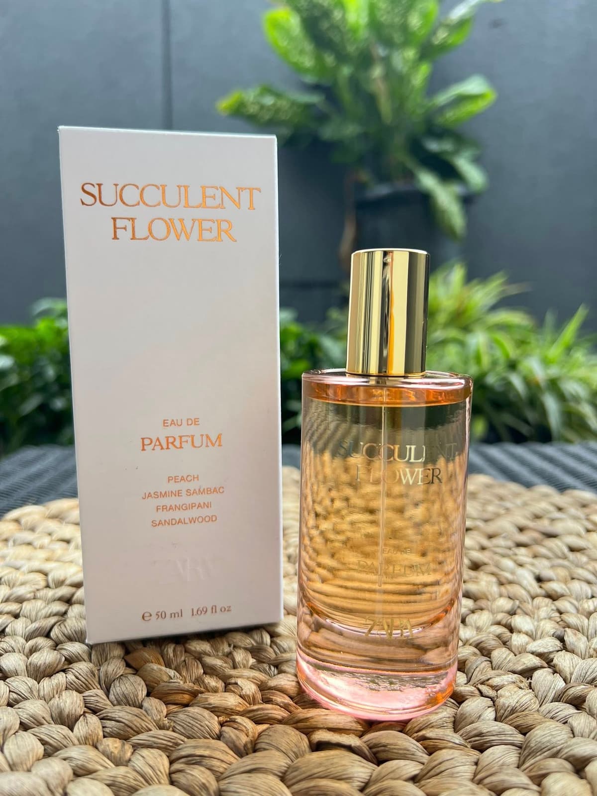 ZARA Succulent Flower
