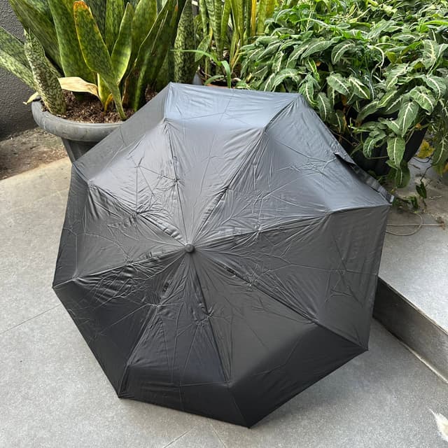 KITCHEN Umbrella