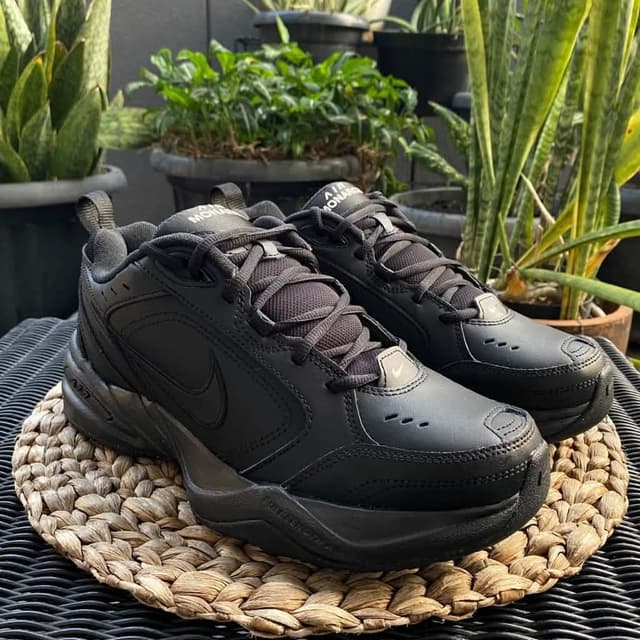 NIKE Air Monarch IV 415445