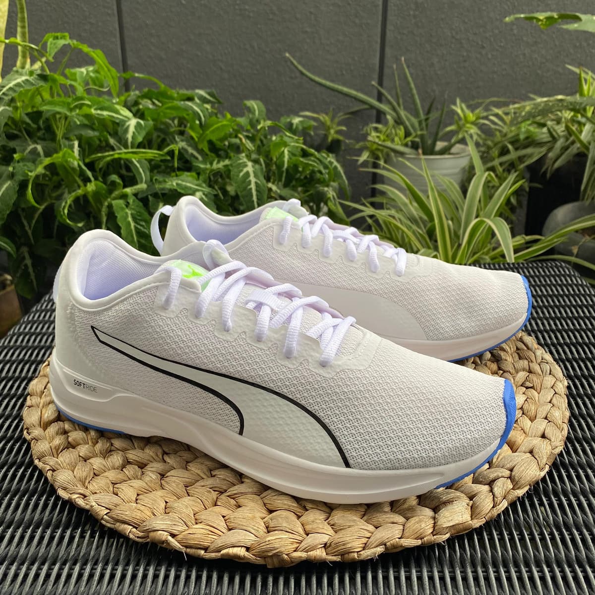 PUMA Accent 1504