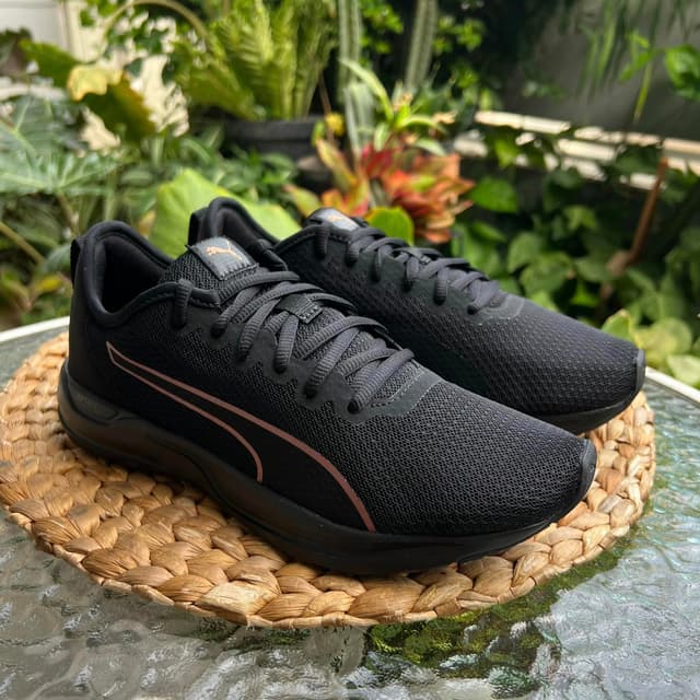 PUMA Accent 1955