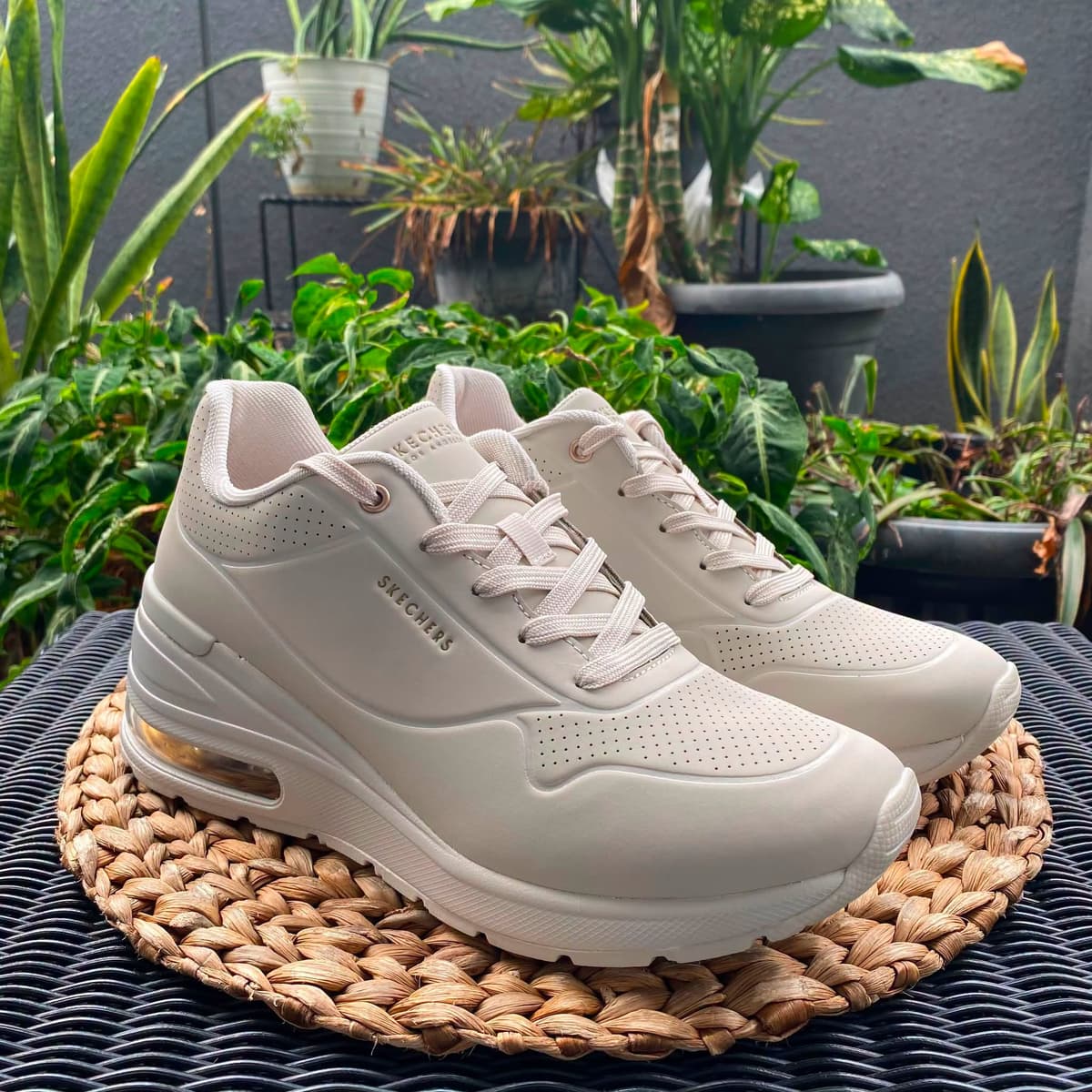 SKECHERS 155401